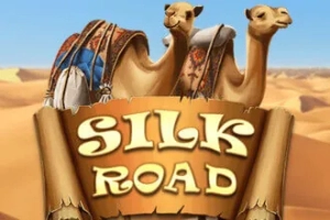 12107 silk road