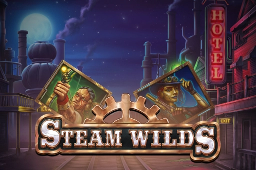 24075 steam wilds